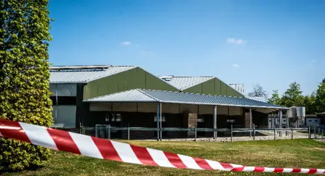 Втори случай на заразен с Covid-19 от норка в Нидерландия