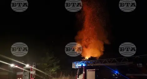 Снимка: БТА Снимка: БТА