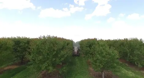 Българо-румънската земеделска група обсъжда екоовощарството в Бръшлен