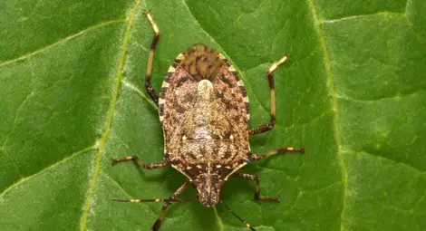 Снимка: Adobe Stock Images (свободен лиценз)