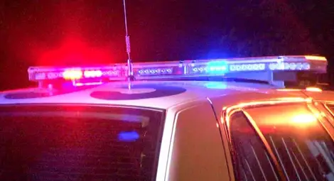 Куче простреля разносвач на пици