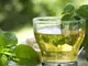 Учени: Зеленият чай наистина помага за отслабване, ако се комбинира с упражнения