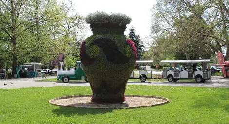 Готова е новата цветна премяна на Вазата в Русе /галерия/