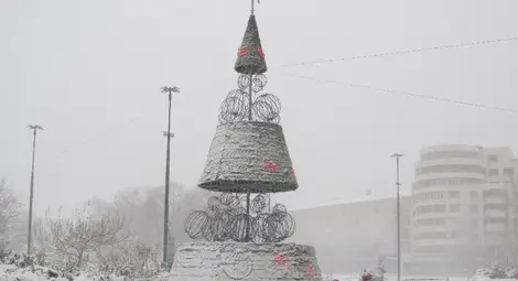 ЕНЕРГО-ПРО: 490 населени места в Североизточна България са без ток