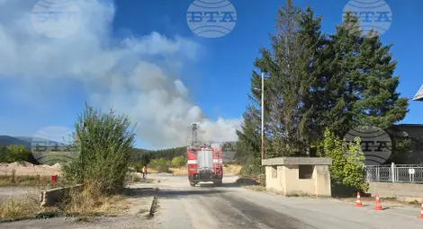 Снимка: БТА