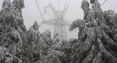20 населени места от община Дулово са без ток 20 населени места от община Дулово са без ток
