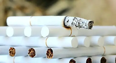 Снимка: Pixabay 