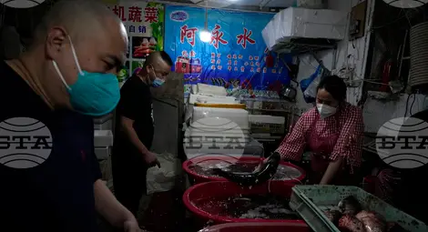 Снимка: БТА