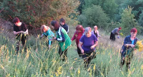 Деца и самодейци възстановиха традициите за Еньовден в община Ценово /галерия/