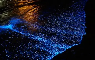 Сияйни пясъчни ивици се образуват на Малдивите /галерия/