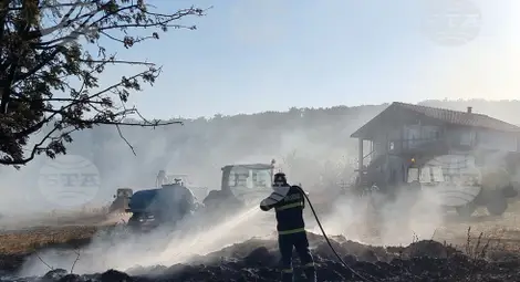 Снимка: БТА