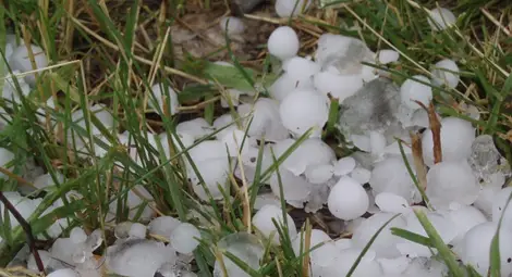 Плащат компенсации за слани  и градушки в Русенско