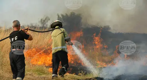 Снимка: БТА