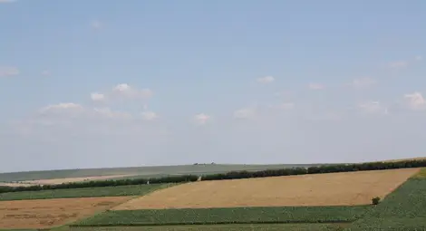 Арендатори наливат в нови ниви пари от евросубсидиите Арендатори наливат в нови ниви пари от евросубсидиите