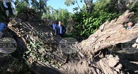 Снимка: БТА