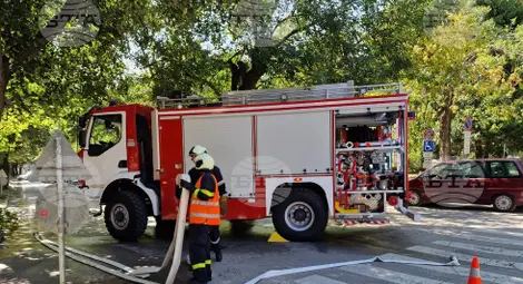 Снимка: БТА Снимка: БТА