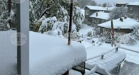 Снимка: БТА Снимка: БТА