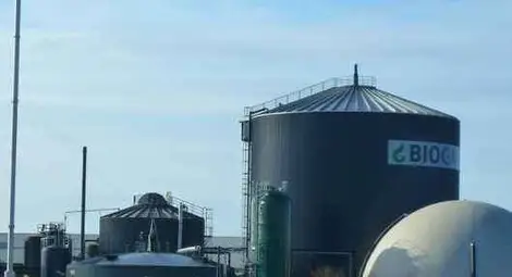 Произвеждат ток от  кравешки тор в Бъзън