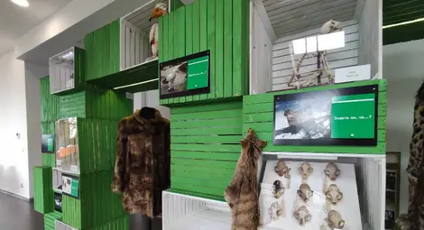 Изложба на русенския музей гостува на Софийския фестивал на науката