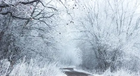 Малък Сечко разгръща мразовит потенциал! Сибирски студ и сняг идват...