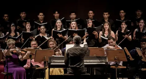 Голямата любов - виолата - отвежда Владимир Русев в далечна Бразилия Голямата любов - виолата - отвежда Владимир Русев в далечна Бразилия