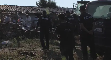 От утре избиването на животни в Странджа продължава