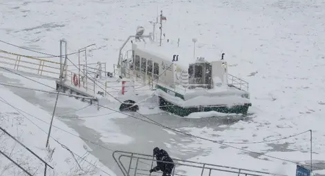 Ледоходът стигна 80 процента Ледоходът стигна 80 процента