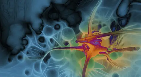 Проучване: 40% от водещите до рак фактори могат да се избегнат