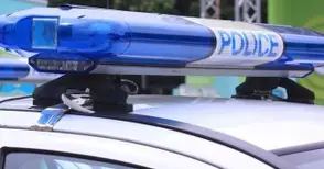 Нощна драма в Хотанца - три коли посечени с брадва след отказ на собственика да даде ракия