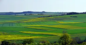 Рентата за държавни ниви удари таван от 140 лева