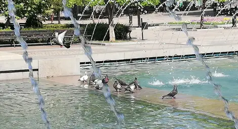 Трети рекорд в жегата за 10 дни