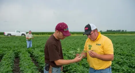 Службата за съвети в земеделието с 5 приемни в областта през февруари