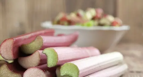 7 фантастични причини да похапваме ревен