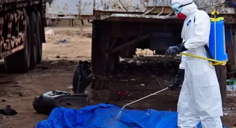 14 души в Сърбия са под наблюдение заради риск от Ебола