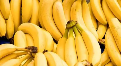 По бананите плъзна опасна гъба, за която няма лекарство
