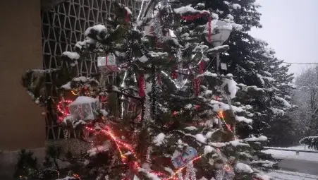 Огромна сурвакница и снежен човек от тикви правят компания на коледния бор в Караманово