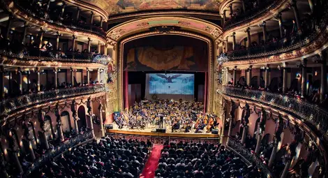 Голямата любов - виолата - отвежда Владимир Русев в далечна Бразилия Голямата любов - виолата - отвежда Владимир Русев в далечна Бразилия