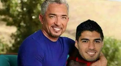 Facebook полудя по "канибала" Суарес  /галерия/