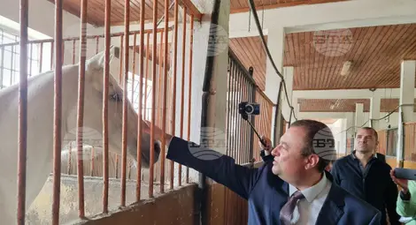 Снимка: БТА Снимка: БТА