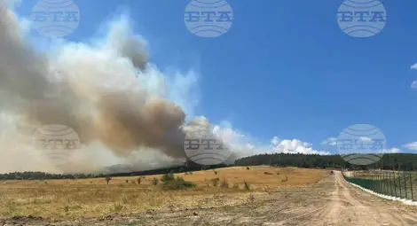 Снимка: БТА Снимка: БТА