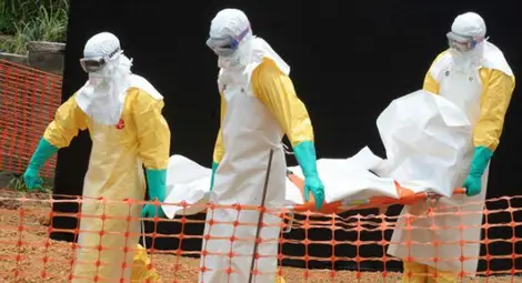 "Болестта Х" може да стане смъртоносна глобална епидемия, предупреждава СЗО