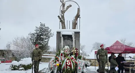 Снимка: БТА