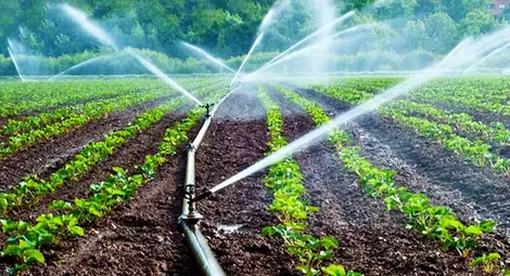 Индустрията и фермерите  използват все повече вода