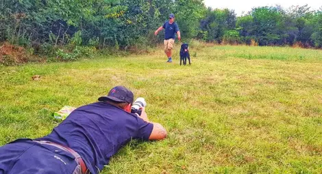 Английски топ фотограф снима кучета и котки от общинския приют