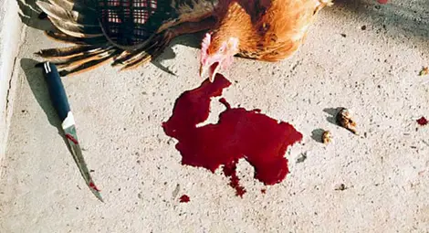 Ирина Рупърт: Всяка от снимките разказва моята душа