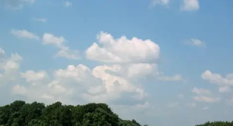 „Паралел Силистра“ организира приключенски тренинг за младежи на Пожаревския остров „Паралел Силистра“ организира приключенски тренинг за младежи на Пожаревския остров