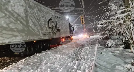 Снимка: БТА