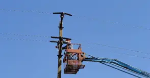 „Енерго-Про“ монтира протектори в защита на редките птици в парк „Русенски Лом“