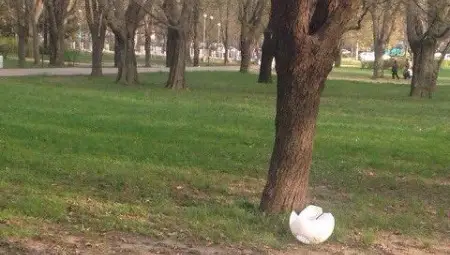 Неизвестни вандали отново посегнаха на лампите в парка Неизвестни вандали отново посегнаха на лампите в парка