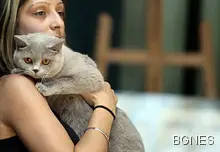 Котка осинови малки катерички